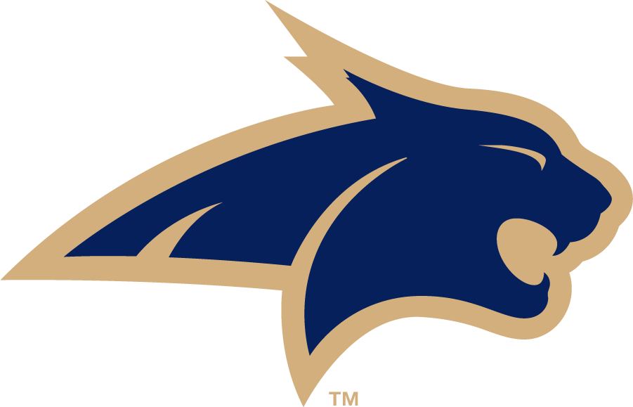 Montana State Bobcats 2006-2013 Alternate Logo v3 iron on transfers for clothing